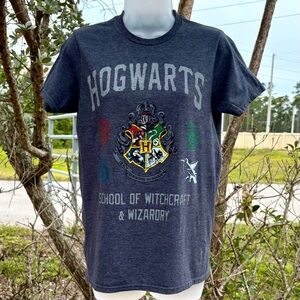 Harry Potter Hogwarts Grey T-Shirt Size S Witchcraft Wizardry Gryffindor